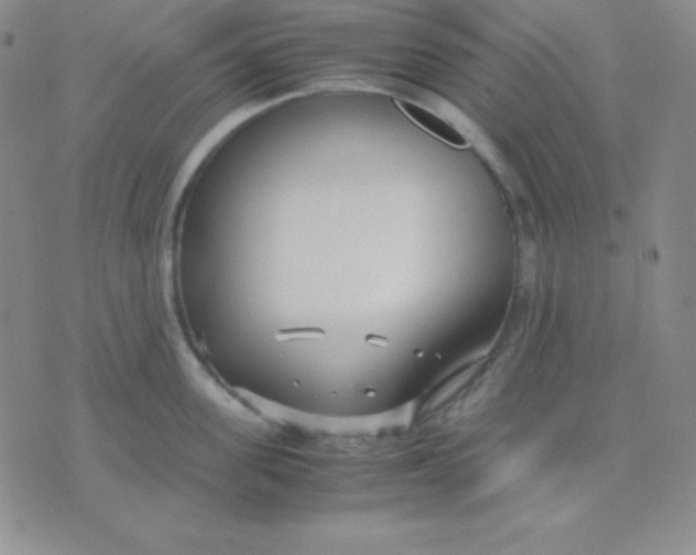 X0000071970955200607282055