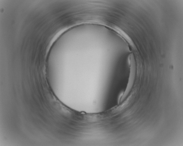 X0000071970956200607282055