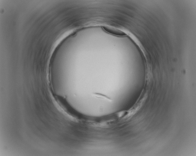 X0000071970957200607282055