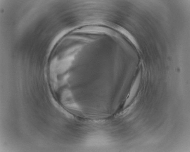 X0000071970958200607282055