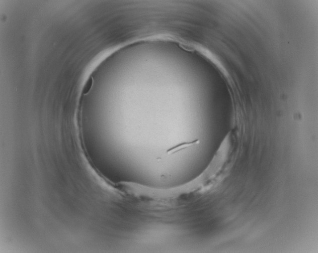 X0000071970959200607282055