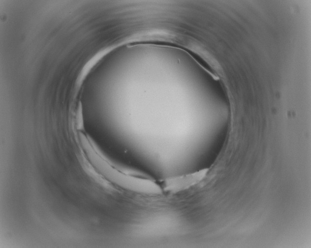 X0000071970960200607282055