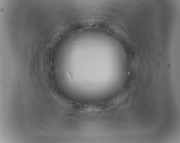 X0000071970961200607282054