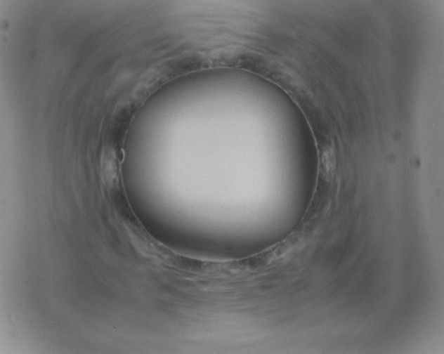 X0000071970963200607282054