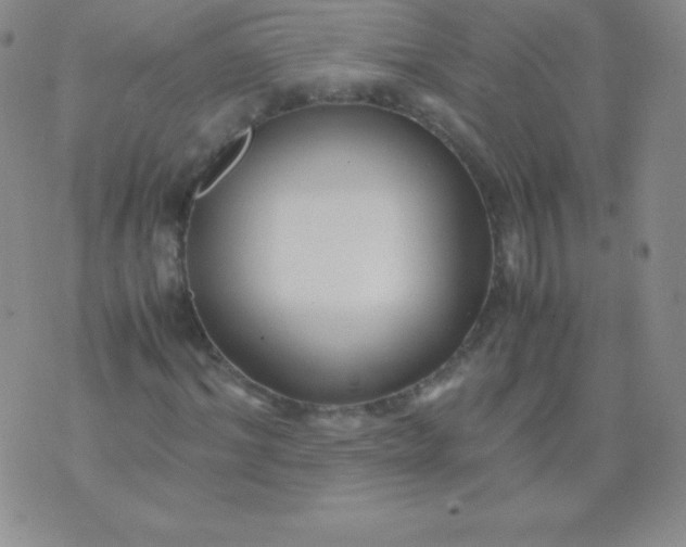 X0000071970964200607282054