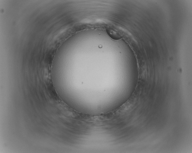 X0000071970966200607282054