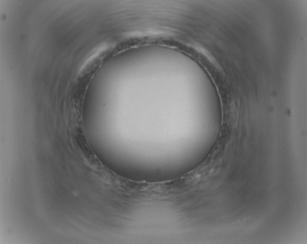 X0000071970967200607282054