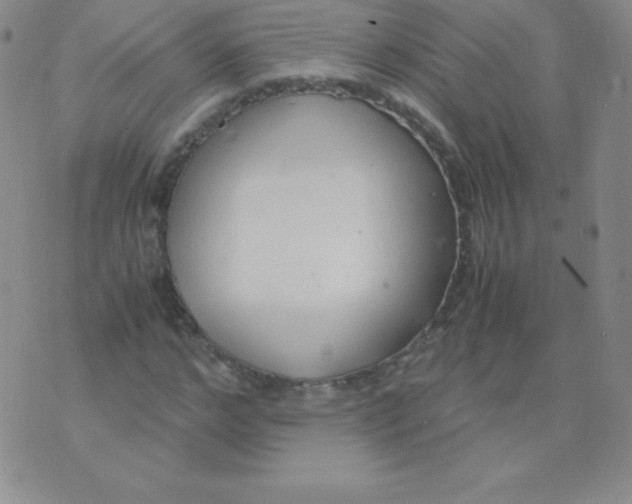 X0000071970968200607282054