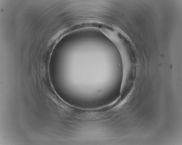 X0000071970969200607282054