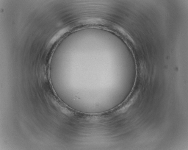 X0000071970970200607282054