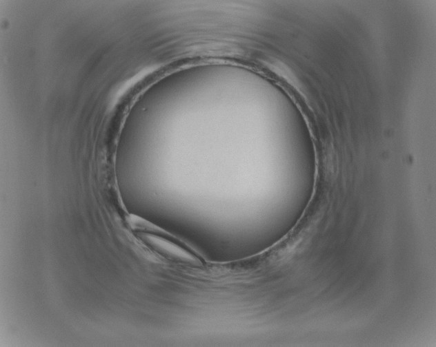 X0000071970971200607282054