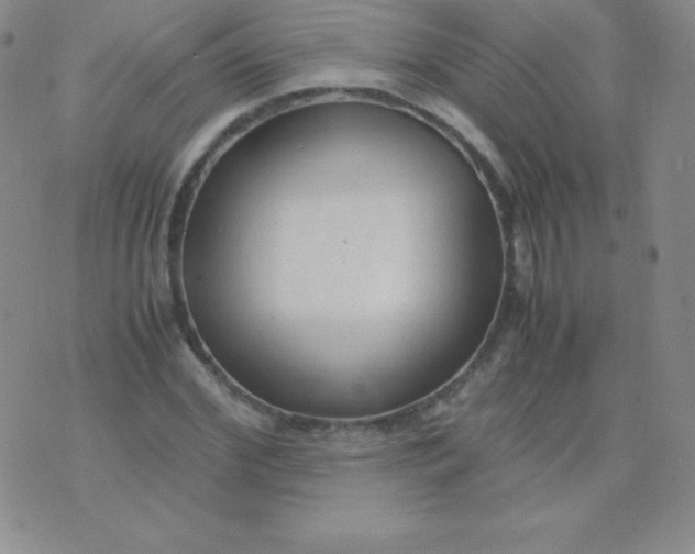 X0000071970972200607282054