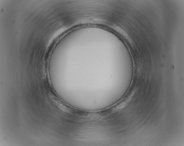 X0000071970974200607282054