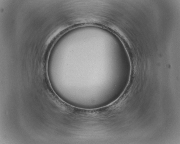 X0000071970975200607282054