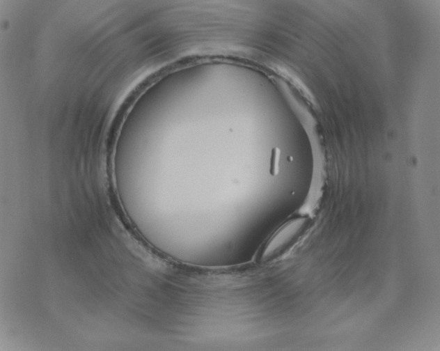 X0000071970976200607282054