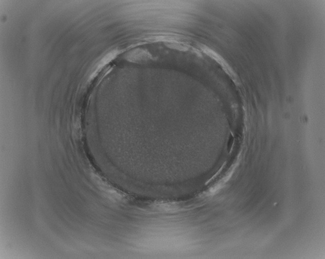 X0000071970977200607282054