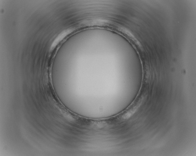 X0000071970978200607282054