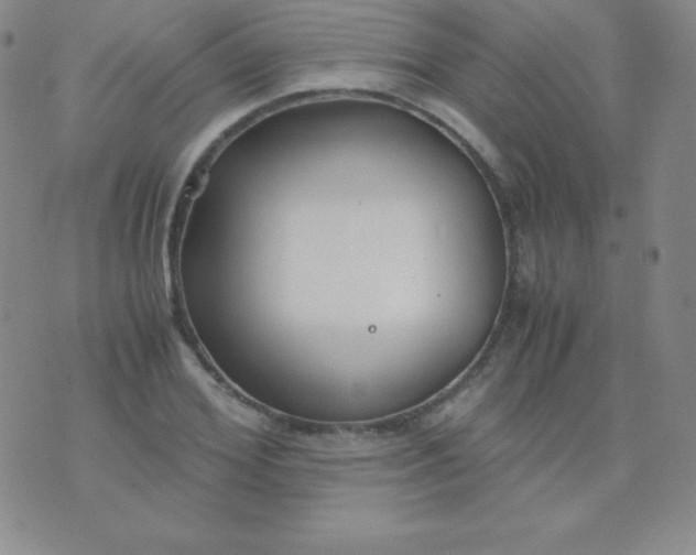 X0000071970980200607282054