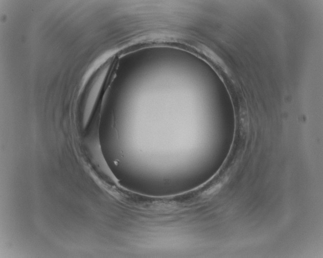 X0000071970981200607282054