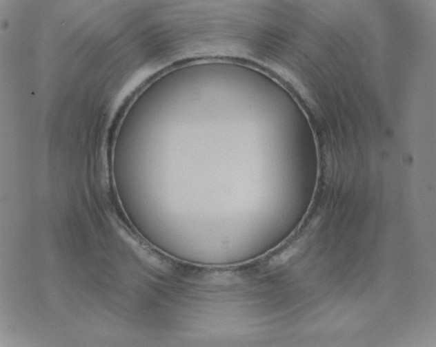 X0000071970982200607282054