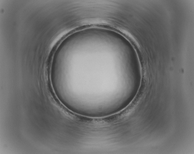 X0000071970983200607282054