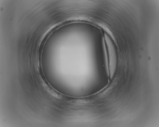 X0000071970984200607282054