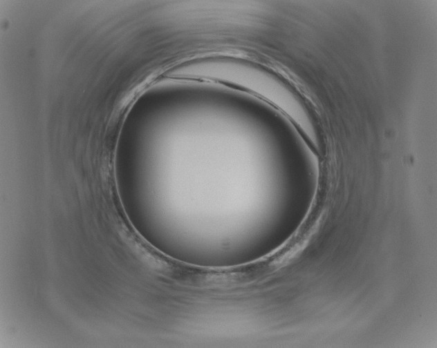 X0000071970985200607282054