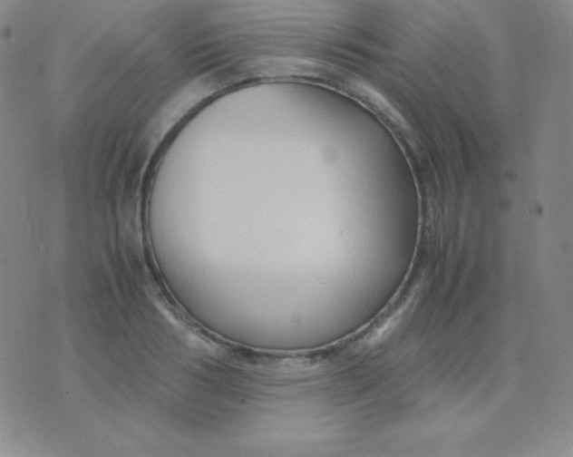 X0000071970986200607282054