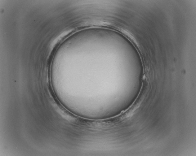 X0000071970987200607282053