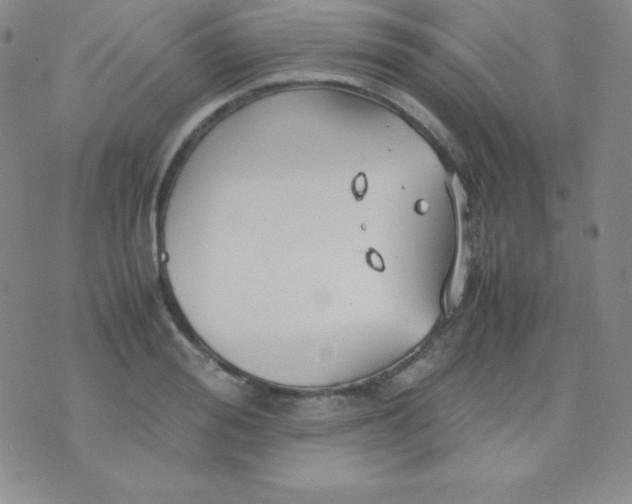 X0000071970988200607282053