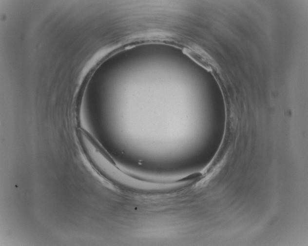 X0000071970989200607282053