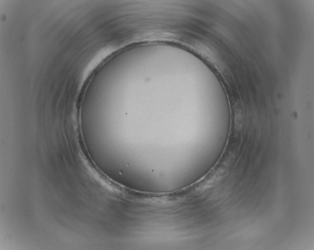 X0000071970990200607282053