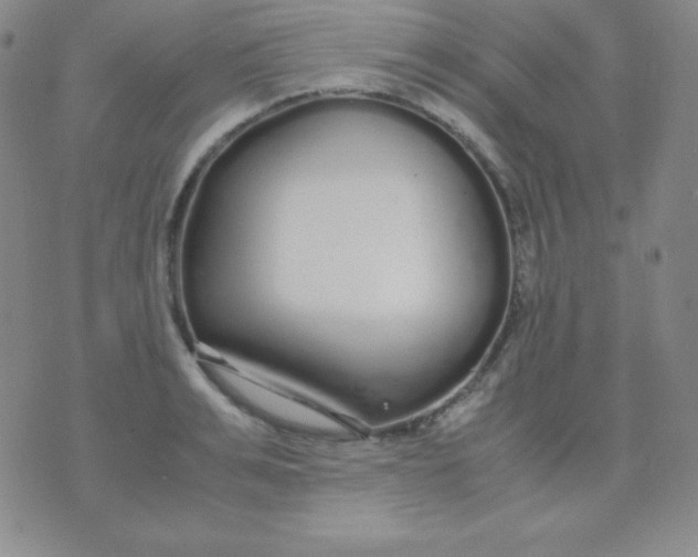 X0000071970991200607282053