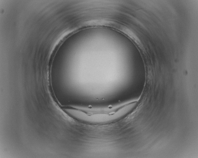 X0000071970992200607282053