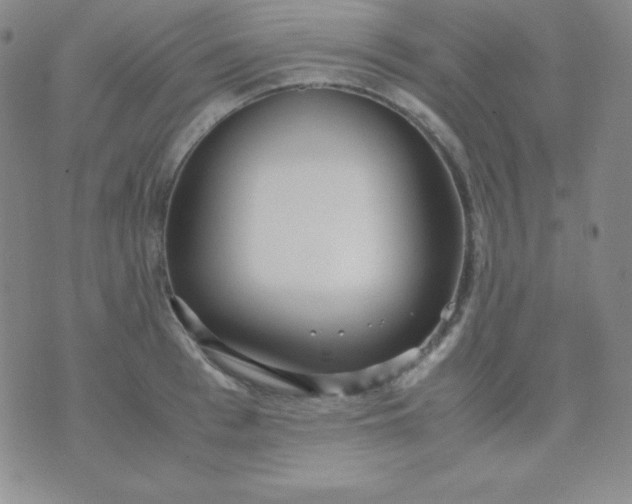 X0000071970993200607282053