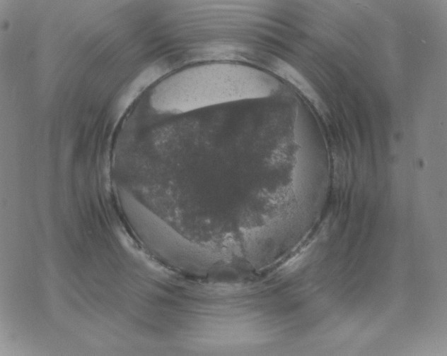 X0000071970994200607282053