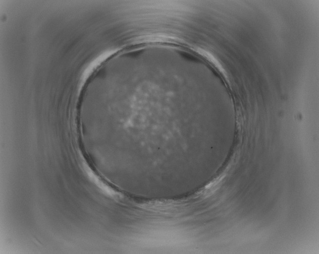 X0000071970995200607282053