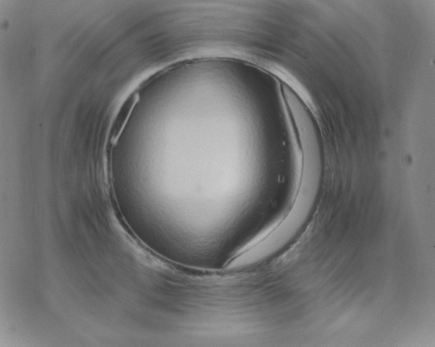 X0000071970996200607282053