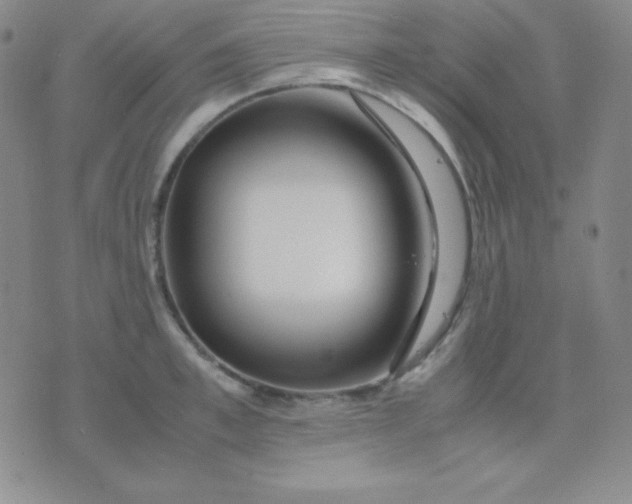 X0000071970997200607282053