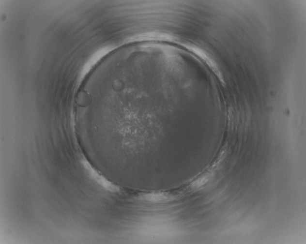 X0000071970998200607282053