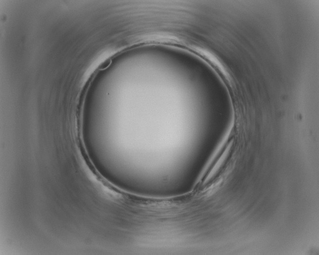 X0000071970999200607282053