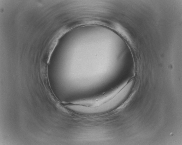 X0000071971001200607282053