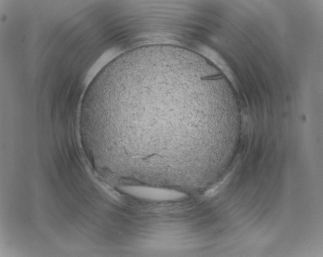 X0000071971002200607282053