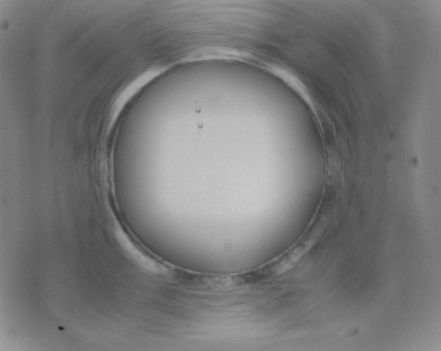 X0000071971003200607282053