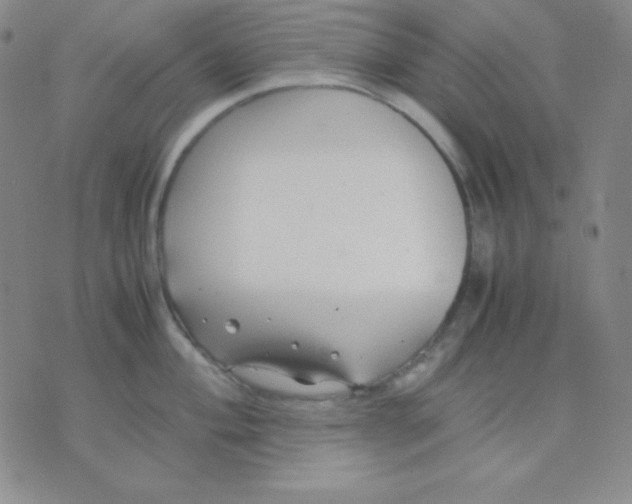 X0000071971004200607282053