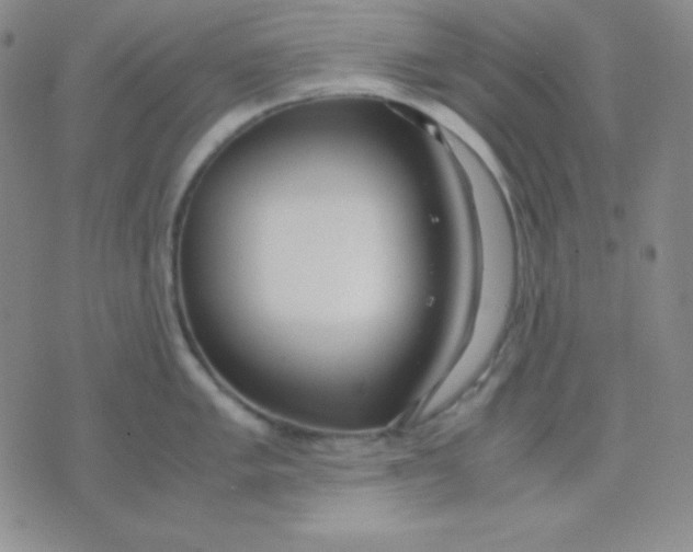 X0000071971005200607282053