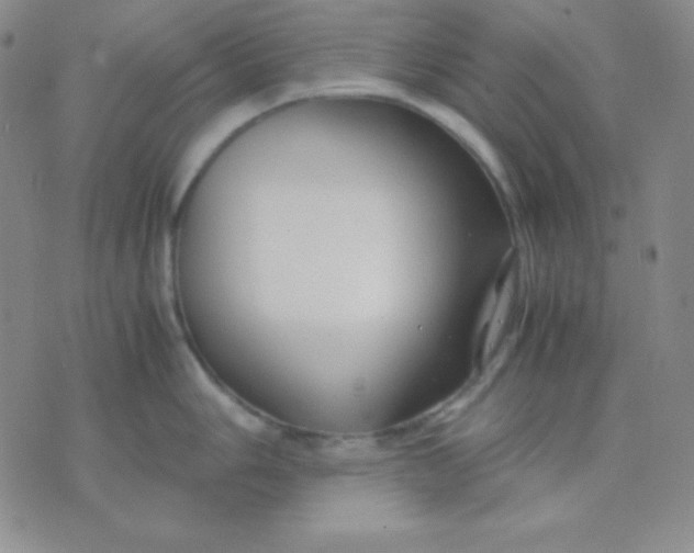 X0000071971006200607282053