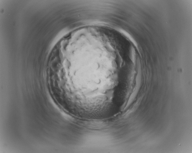 X0000071971007200607282053