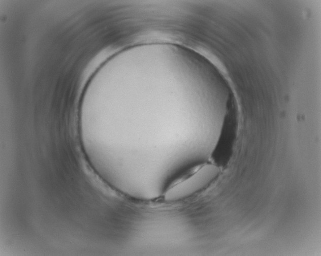 X0000071971008200607282053