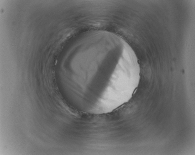 X0000071971009200607282052